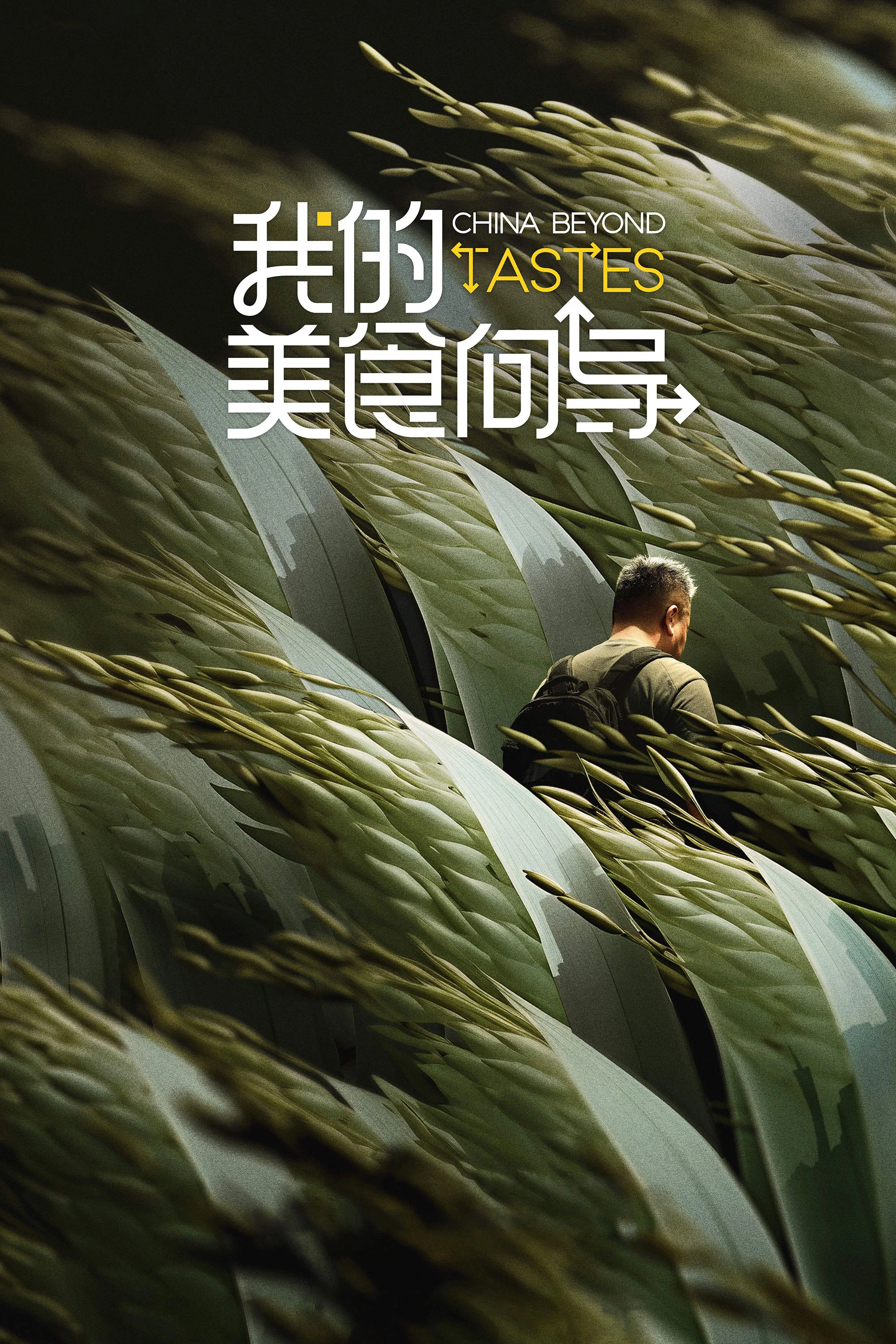 我的美食向导海报